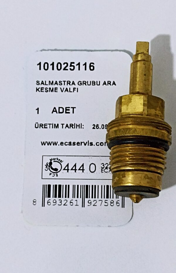 SALMASTRA GR.  101025116